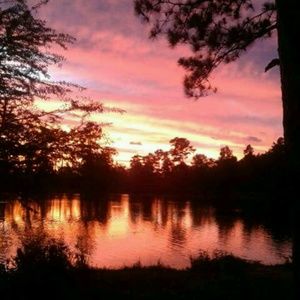 Meet your Posher, Carissa